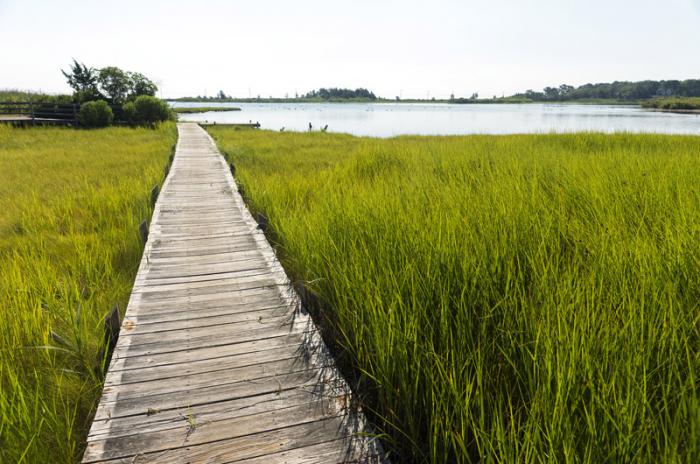 At Farm Pond in Oak Bluffs a $1 million-plus project is underway to install new culverts that connect with Nantucket Sound.