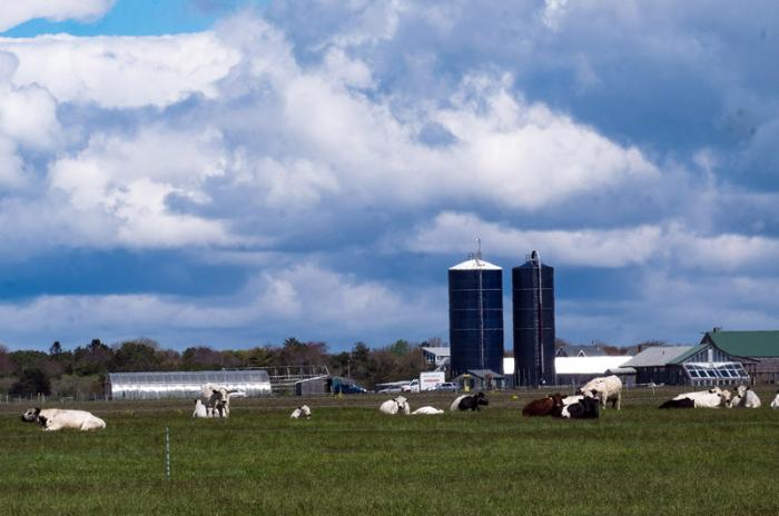 Trustees are hiring a general manager for Islands who will take care of properties including Farm Institute.
