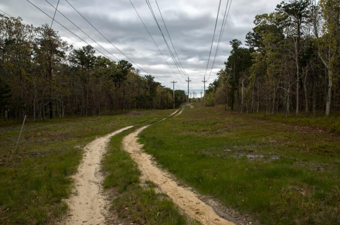 Sheriff's Meadow Foundation did its own clearing under power lines at West Chop Woods property.
