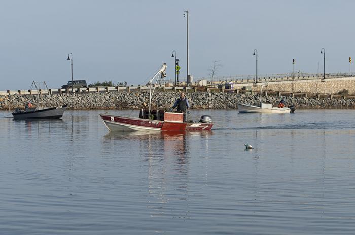 Last year the Lagoon was closed in week one to protect seed. This year the decision paid off.