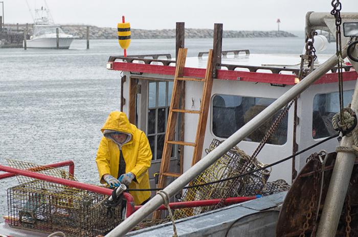 Stock assessments are done every five years by Atlantic States Marine Fisheries Commission.