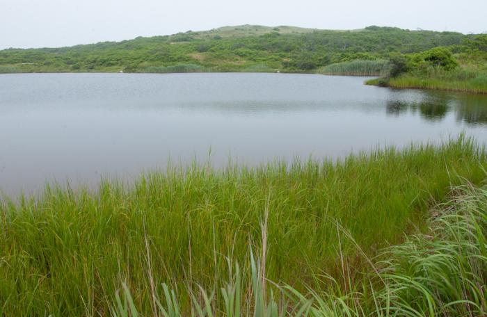 Unspoiled marsh and coastal upland are included in $6.1 million initiative.