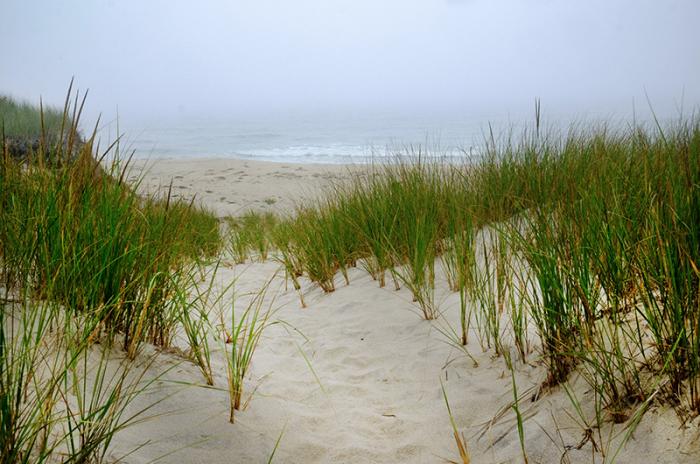 Purchase by Land Bank and Sheriff's Meadow includes large swath of Atlantic-facing shoreline.