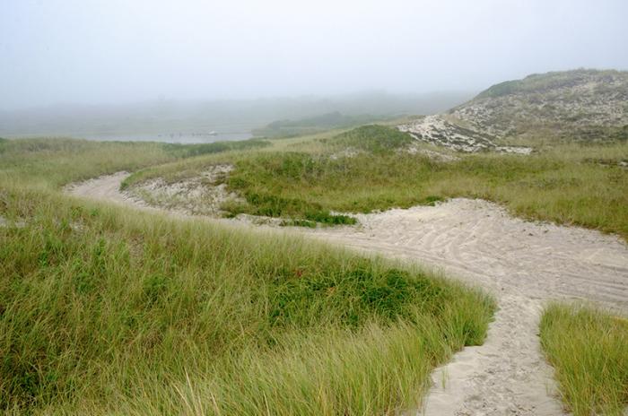 Major, $27 million conservation purchase at Red Gate Farm in Aquinnah was announced in September.