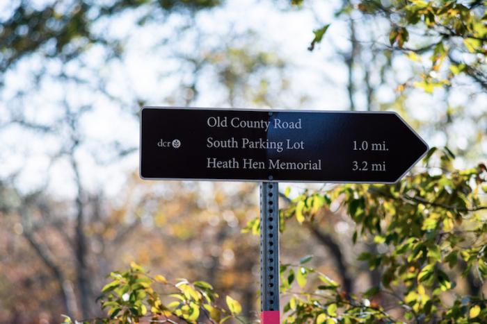 State forest covers 5,000 aces in the center of the Island, including priority habitat and sole source aquifer protection.