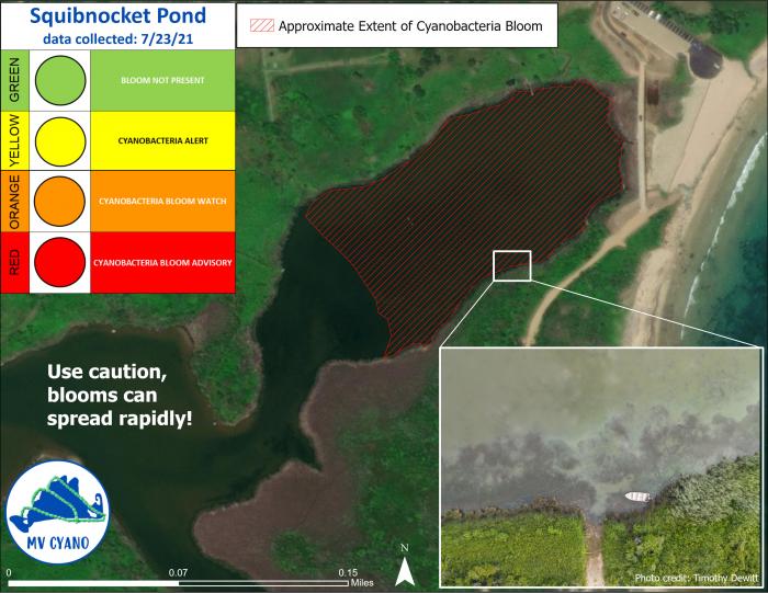 The red portion of Squibnocket Pond has been closed to most recreational activity.