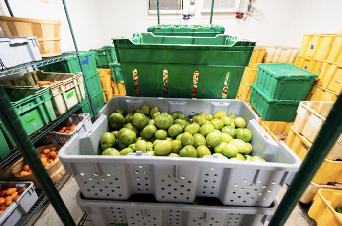 Vegetable barn set up for washing and large-scale storage is the latest innovation at Morning Glory Farm.