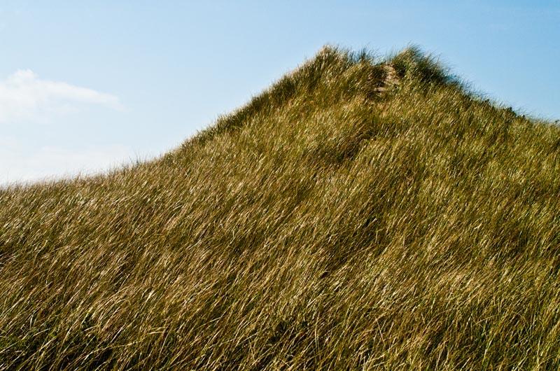 aquinnah, moshup trail, moors