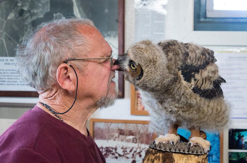 Gus Ben David great horned owl 