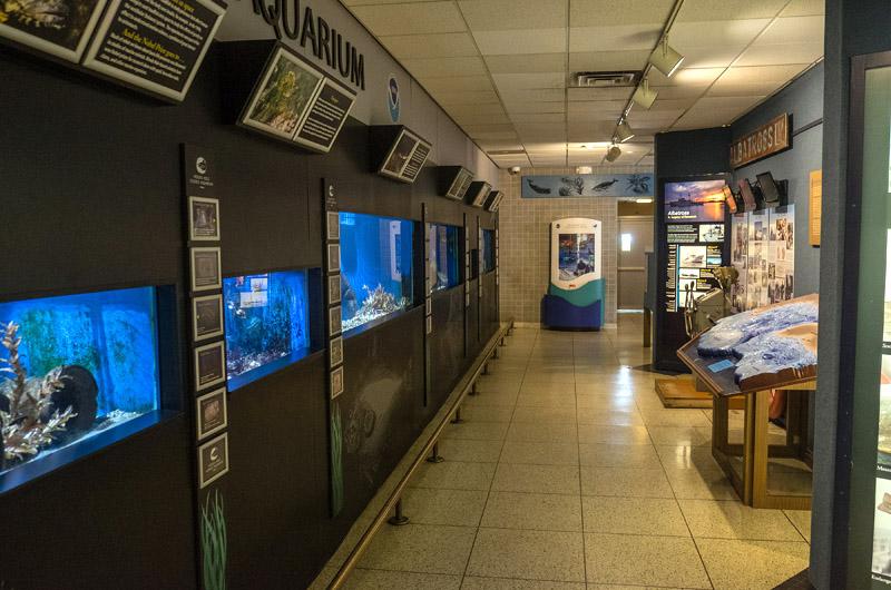 Woods Hole Science Aquarium