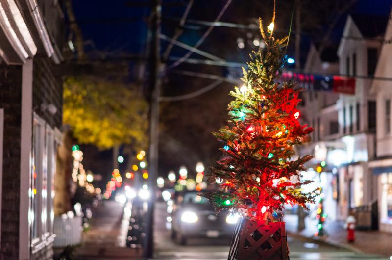 The small lit trees are a traditional staple of Christmas in Edgartown.
