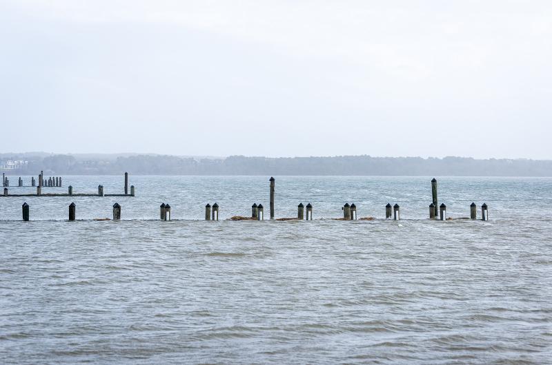 High tide in Katama Bay.