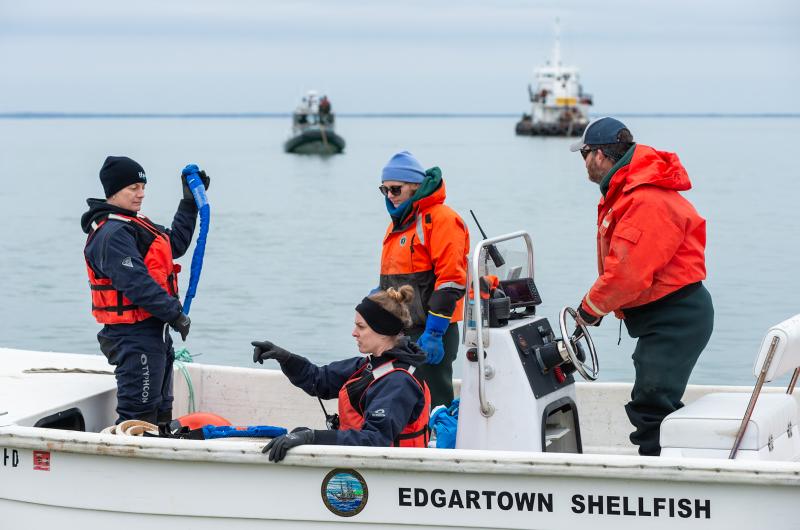 Rob Morrison (right) of the Edgartown Shellfish Department transports IFAW team members to other various vessels.