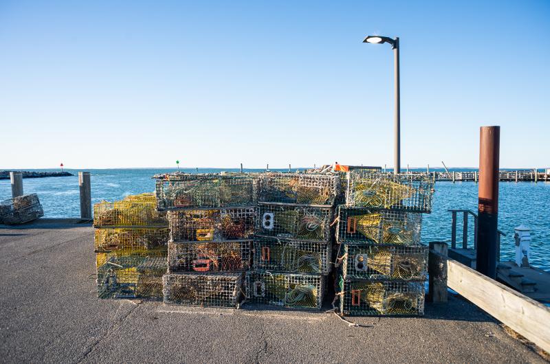 Lobster pots lie in wait at the end of the pier.