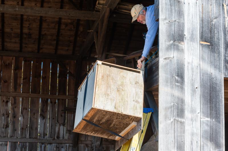 Andrew Woodruff hoists owl box into the barn loft.