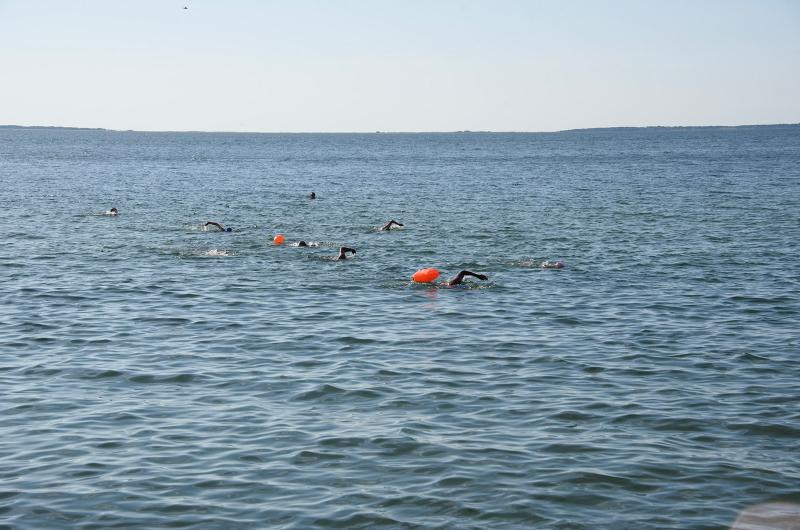 Swimmers from farther afield join the group.