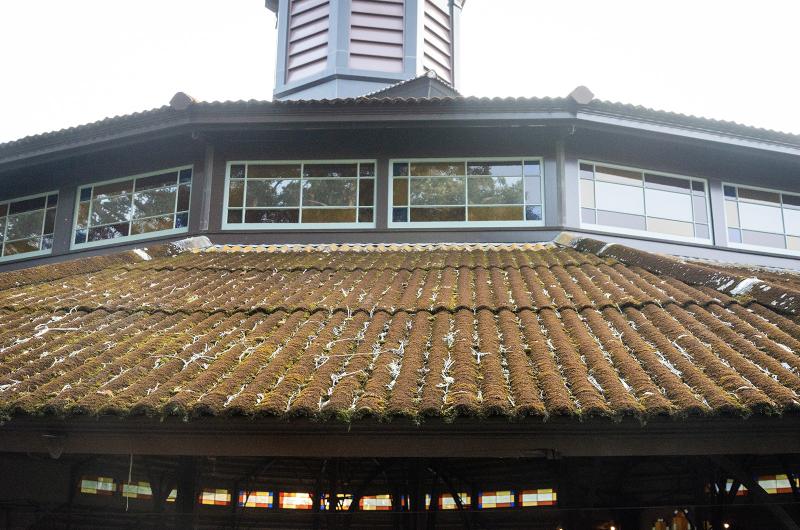 The old roof tiles are covered in moss and lichens.