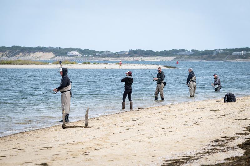 Daytime fishing from Chappy Point.