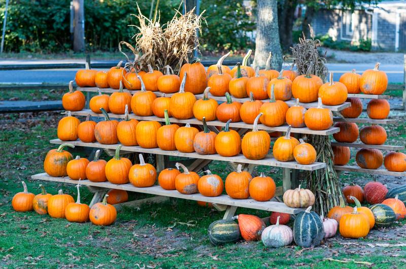 Overflowing with pumpkins.