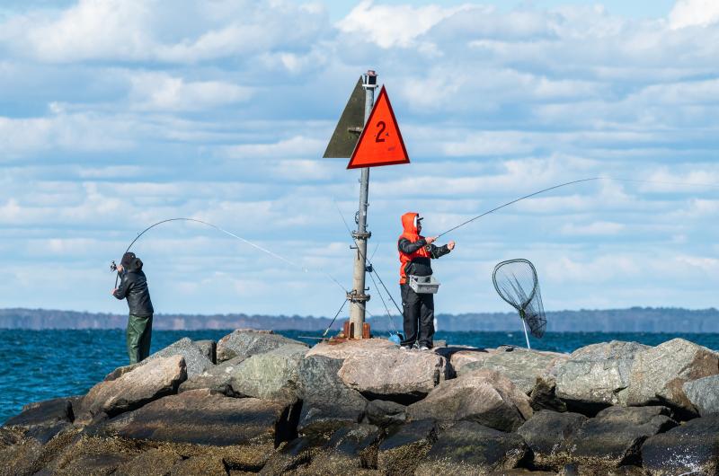There is always a scene at the jetty in Menemsha.