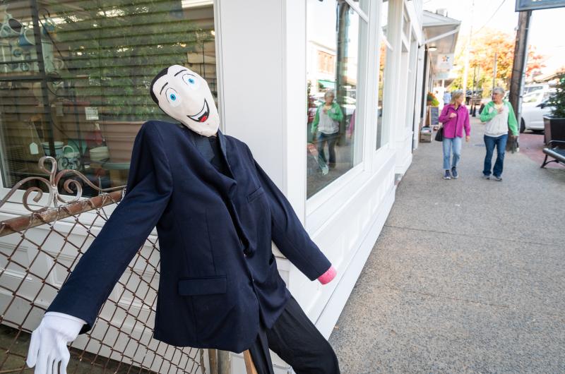 A rare Vampire is seen out during the day in Vineyard Haven.