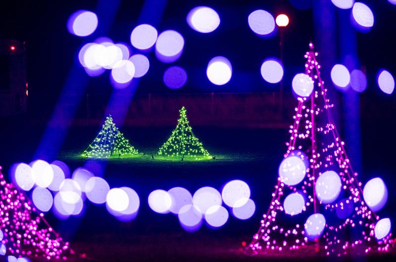 Deck the halls with boughs of holly Fa la la la la, la la la la.