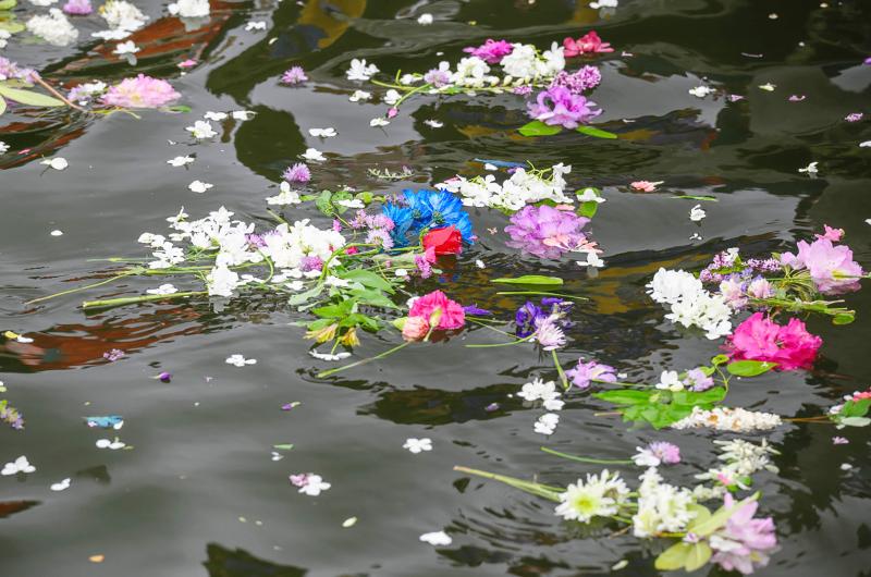 Flowers float away in Menemsha harbor.