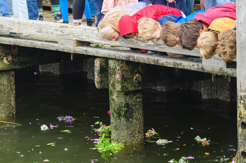 Peeking under the dock.