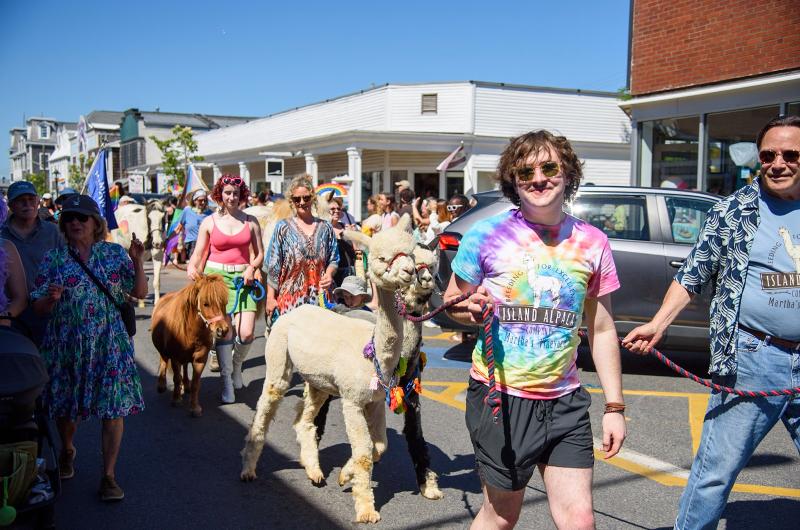 Zyler Flanders (right) leads an alpaca up the street.