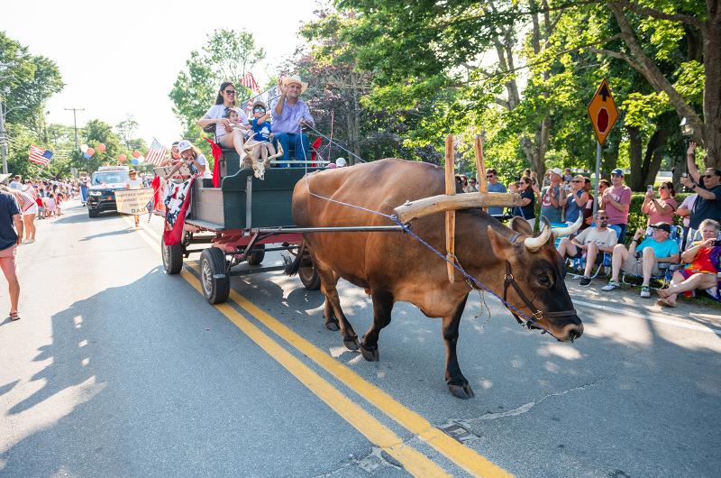 Chilmark the ox is always a crowd pleaser.