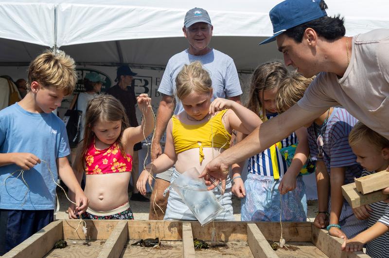 Crab races are a hit with the kids.