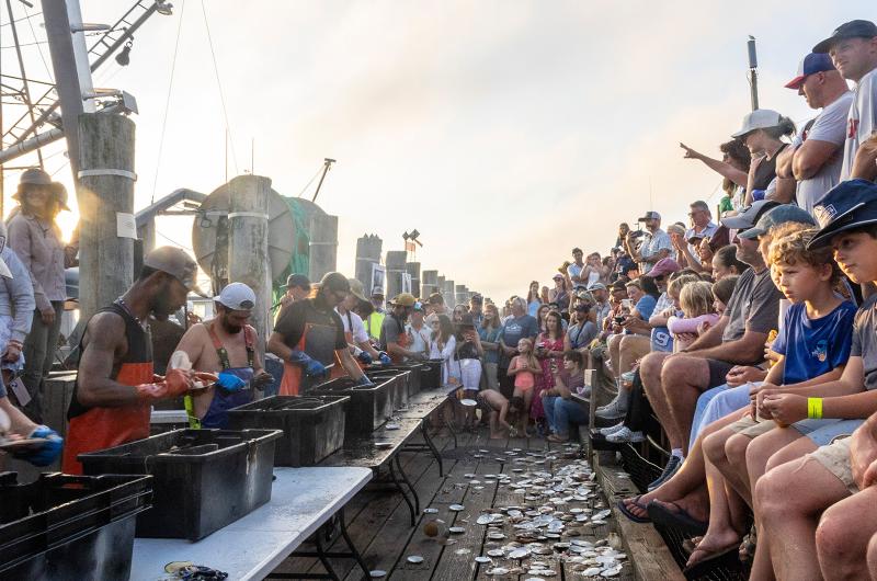 Crowds gather to watch the action.