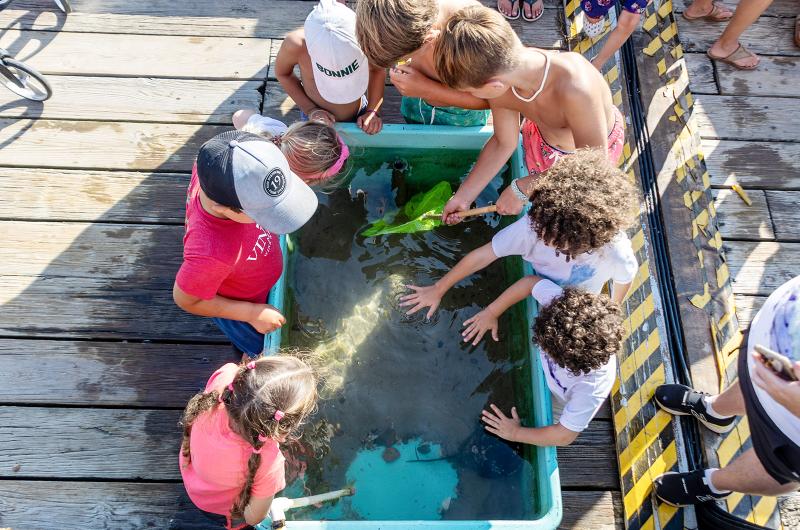 Kids explore ocean life at the touch tank.