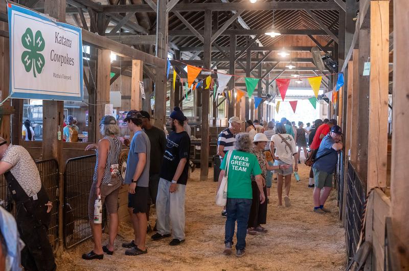 The animal barn is always a hit.