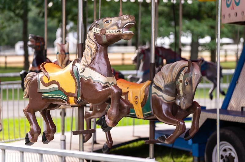 Not the only horses present.
