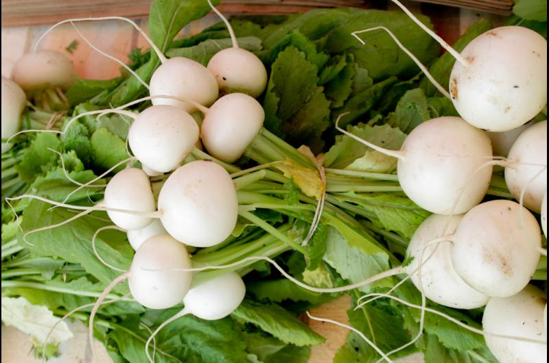 white turnips West Tisbury Farmers Market