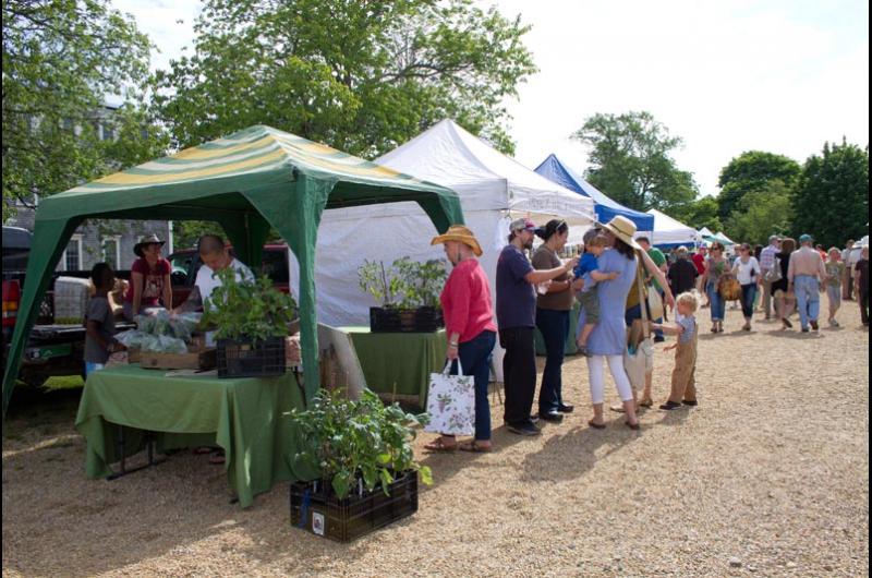 West Tisbury Farmers Market