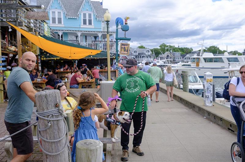 The Vineyard Gazette Martha's Vineyard News Oak Bluffs Harborfest