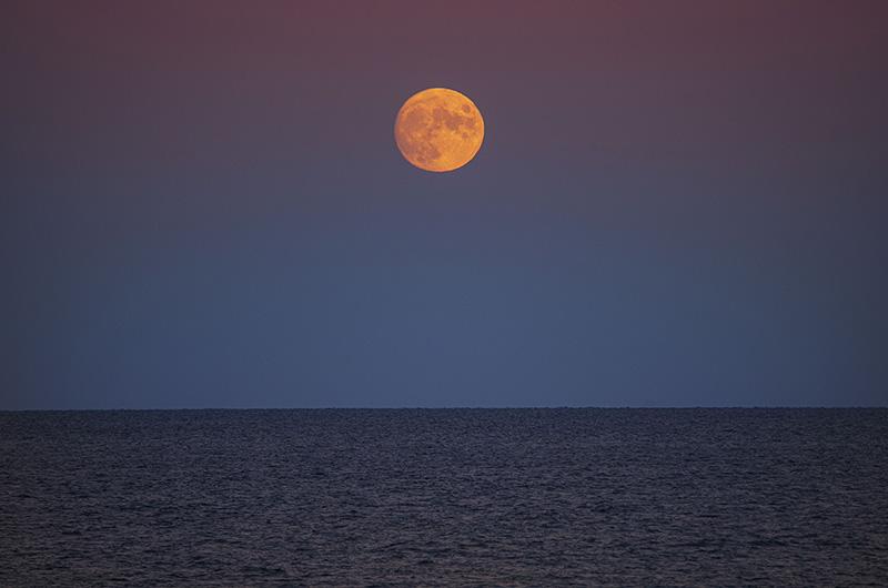 The Vineyard Gazette - Martha's Vineyard News | Island Light: Harvest Moon