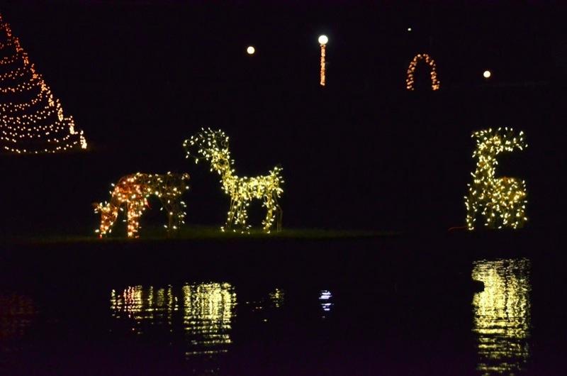 The Vineyard Gazette Martha's Vineyard News Christmas Lights