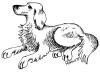 dog line drawing illustration cartoon BW