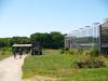 thimble farm