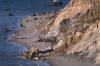 Gay Head Cliffs, Aquinnah, Martha's Vineyard