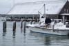 The Vineyard Gazette Martha S Vineyard News Shovels